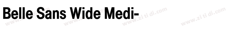 Belle Sans Wide Medi字体转换
